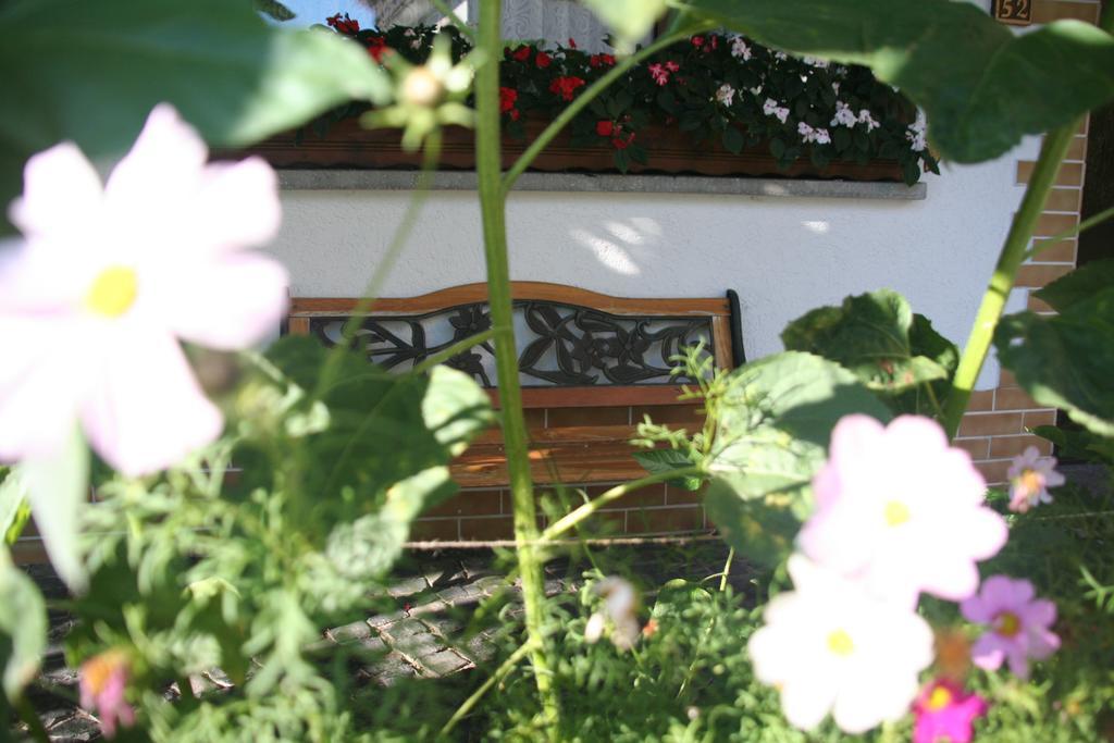 Hotel - Restaurant Berghof Berghausen  エクステリア 写真